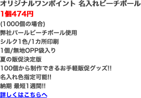 オリジナルワンポイント 名入れビーチボール
